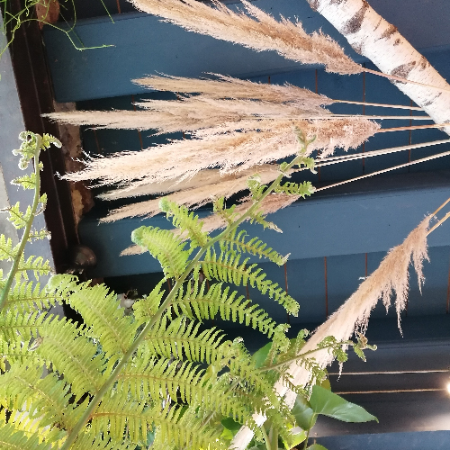 Boutique ajout-atmosphere-fleurs