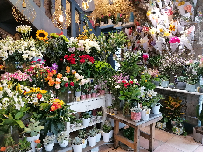 Boutique zoom-rose-milieu-ecrin-vert